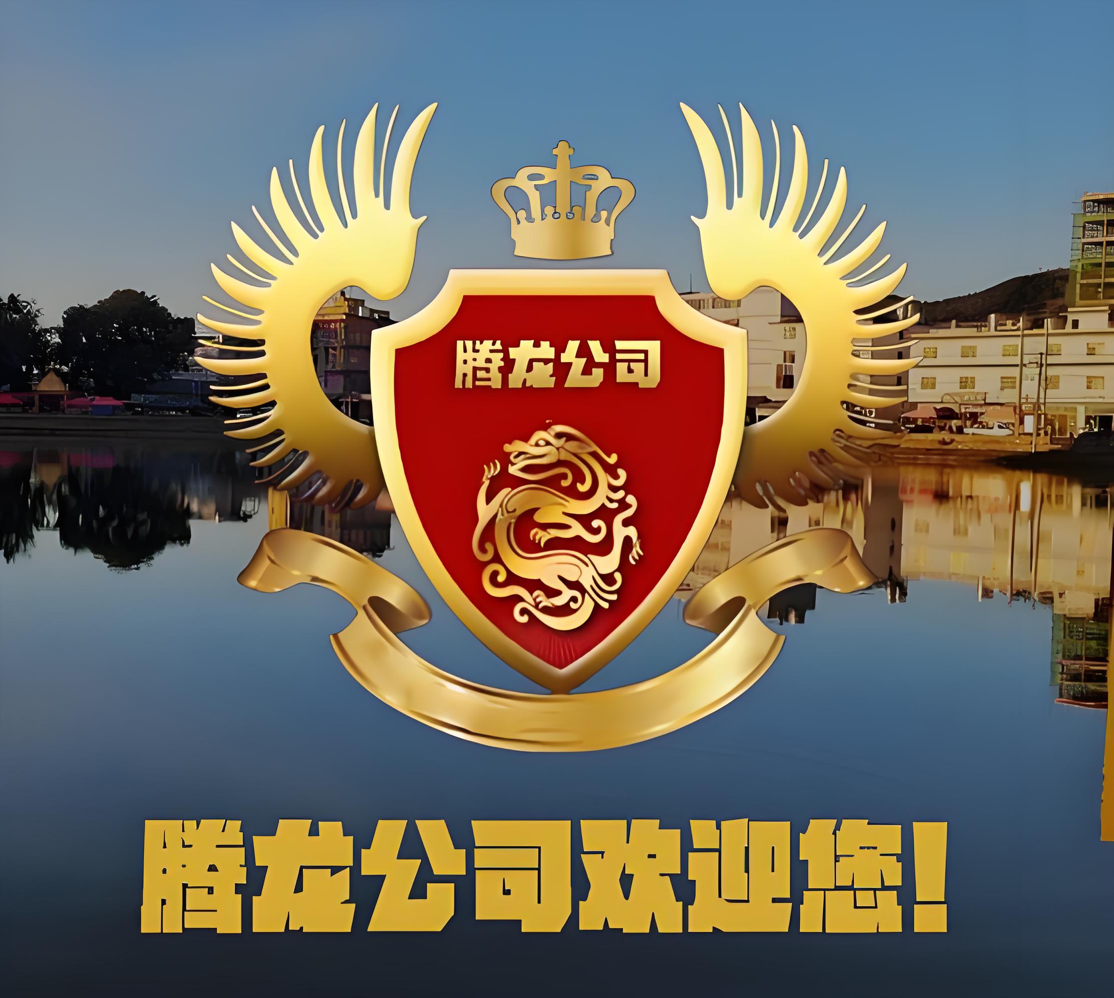 腾龙logo